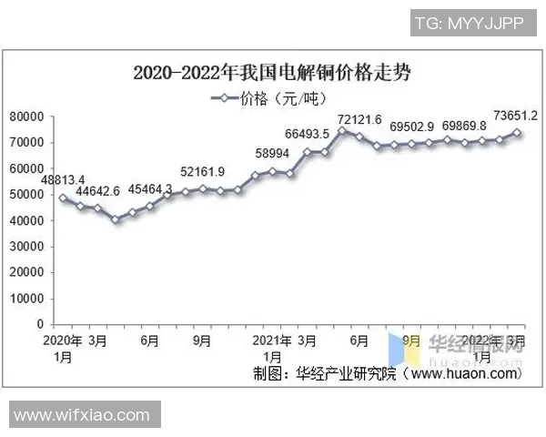 维迪斯与特温特对决结果分析及未来走势预测