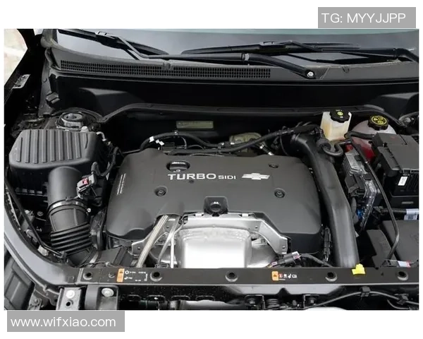 费德列斯达与桑德尼斯激战正酣谁能在这场对决中笑到最后